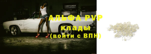 амф Володарск