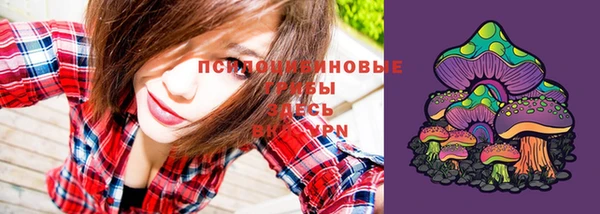 стафф Верея