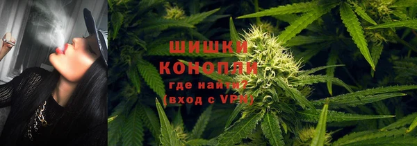 амф Володарск