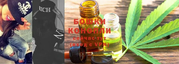амф Володарск